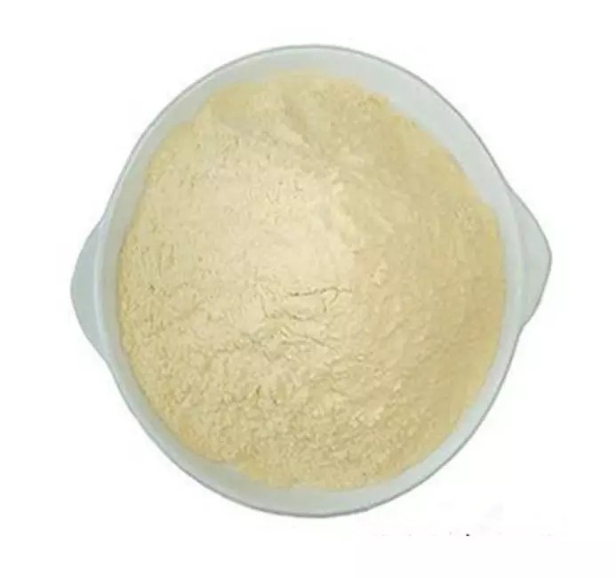 Lactobacillus plantarum HP59