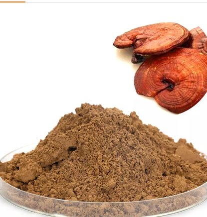 Reishi Mushroom Extract