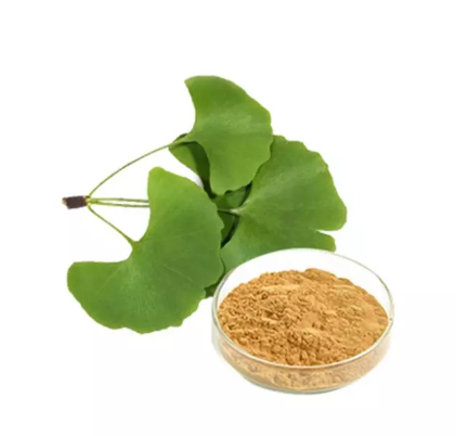 Ginkgo biloba extract CAS 90045-36-6